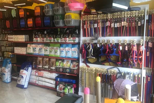 Pet Market 2 - Resim 5