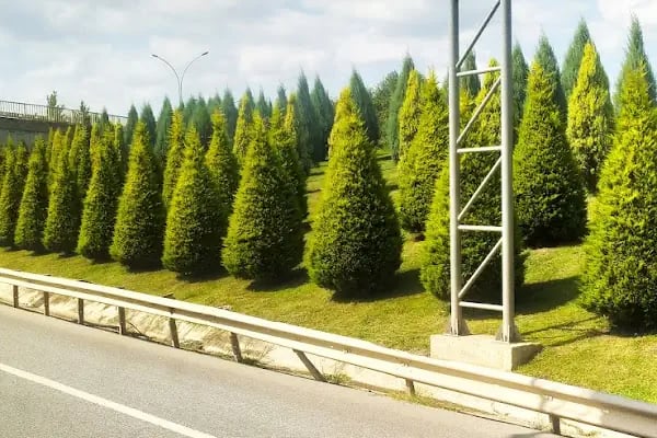 Kocaeli İl Afet Ve Acil Durum Müdürlüğü - Resim 16