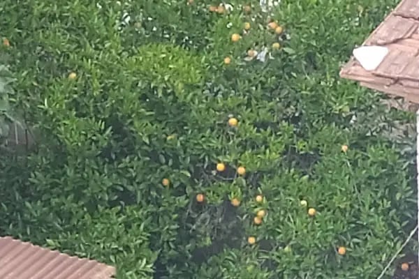 Ramona Kale Hotel - Resim 19