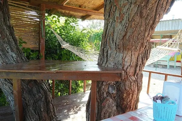 Doğanay Park Vadi Kır Lokantası - Resim 14