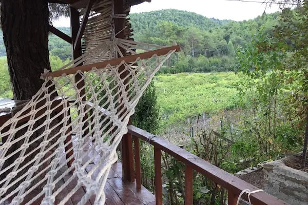 Doğanay Park Vadi Kır Lokantası - Resim 7
