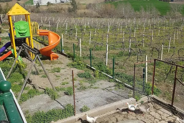Doğanay Park Vadi Kır Lokantası - Resim 5