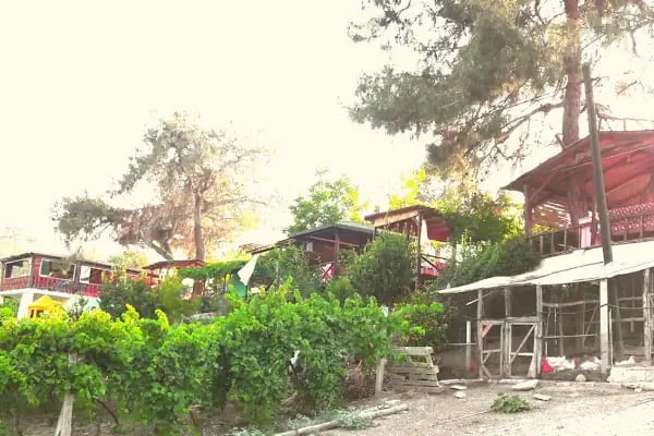 Doğanay Park Vadi Kır Lokantası - Resim 6