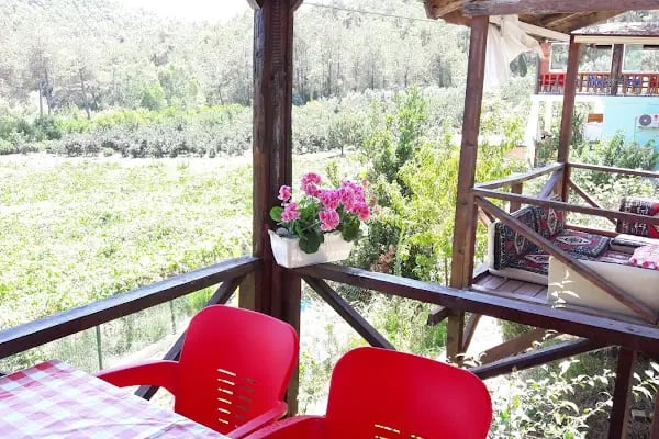 Doğanay Park Vadi Kır Lokantası - Resim 2