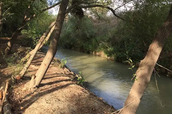 Doğanay Park Vadi Kır Lokantası - Resim 12