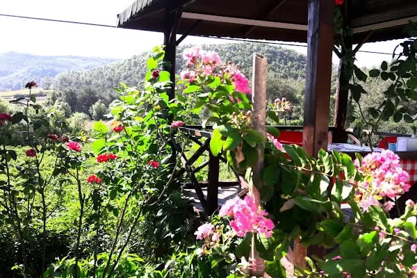 Doğanay Park Vadi Kır Lokantası - Resim 9