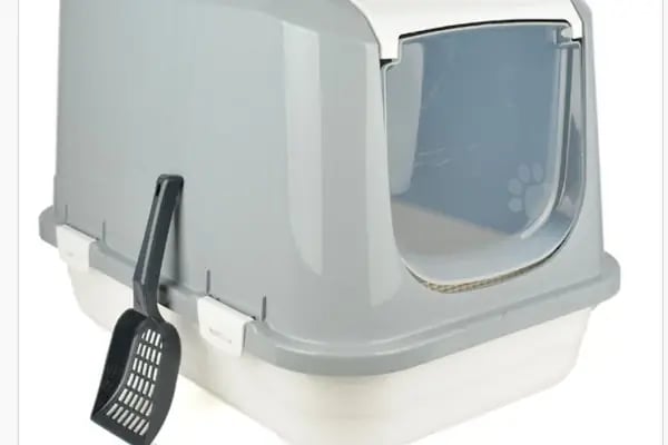 Adanus petshop - Resim 11