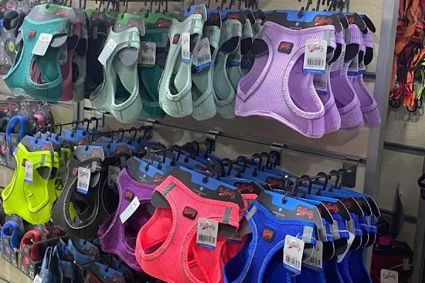 Adanus petshop - Resim 4