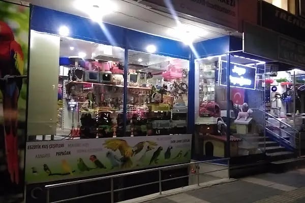 Adanus petshop - Resim 6