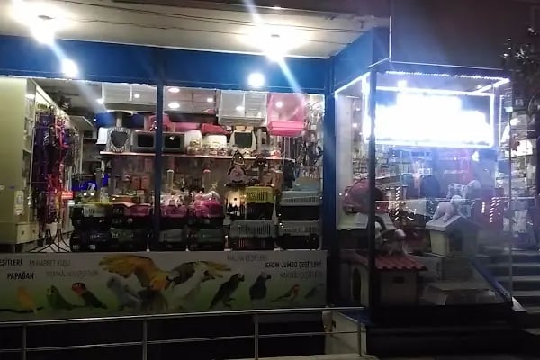 Adanus petshop - Resim 9