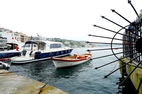 Mısır Arap Cumhuriyeti Başkonsolosluğu - Resim 18