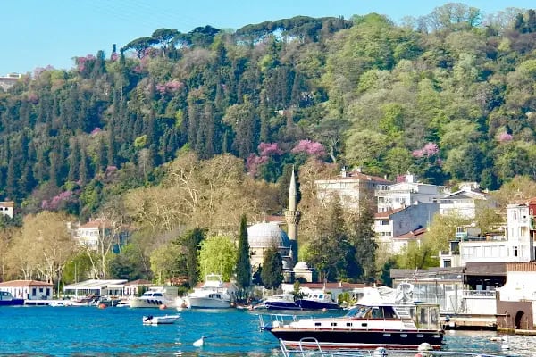 Mısır Arap Cumhuriyeti Başkonsolosluğu - Resim 14