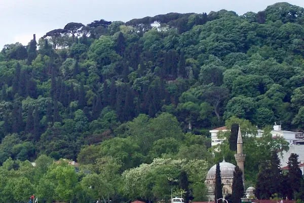 Mısır Arap Cumhuriyeti Başkonsolosluğu - Resim 20