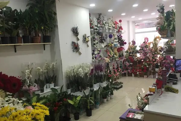 Esra çiçek evi - Resim 1