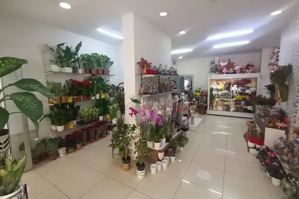 Esra çiçek evi - Resim 18