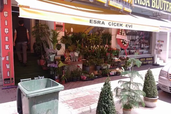 Esra çiçek evi - Resim 2