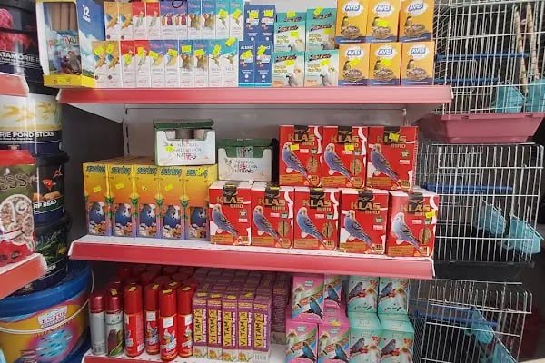Uğur pet shop - Resim 19