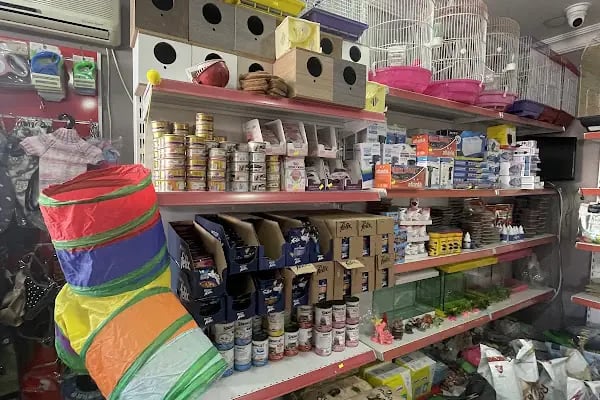 Uğur pet shop - Resim 5