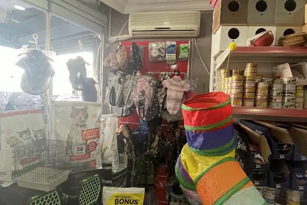 Uğur pet shop - Resim 7