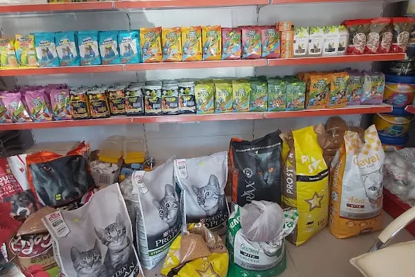Uğur pet shop - Resim 17