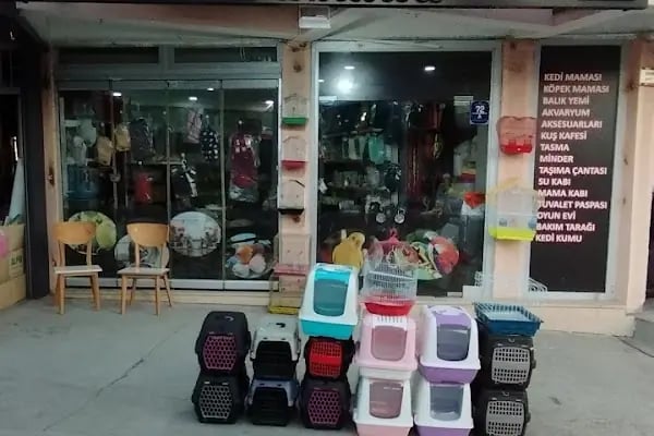 Uğur pet shop - Resim 4