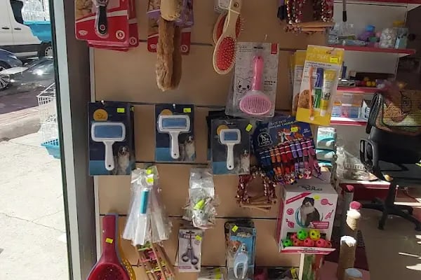 Uğur pet shop - Resim 3