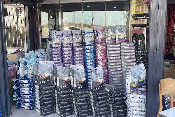 Uğur pet shop - Resim 12