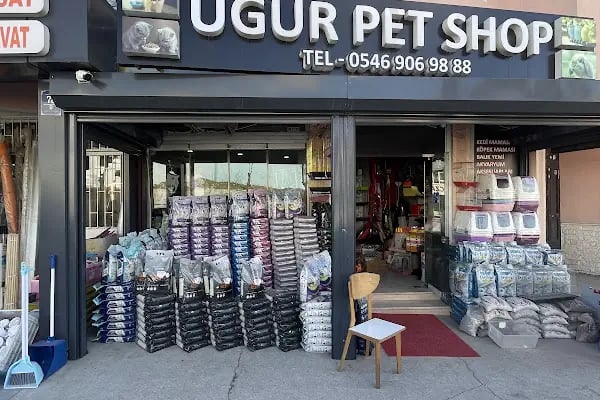 Uğur pet shop - Resim 9