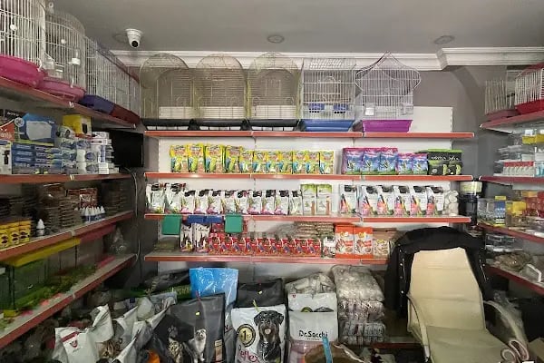 Uğur pet shop - Resim 2