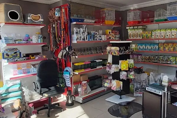 Uğur pet shop - Resim 11
