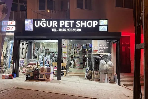 Uğur pet shop - Resim 20