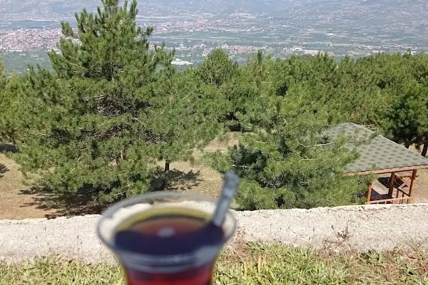 seyir tepe geyve - Resim 13