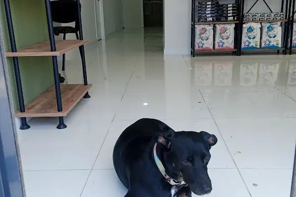 Vet Up Aliağa Veteriner Kliniği - Resim 5