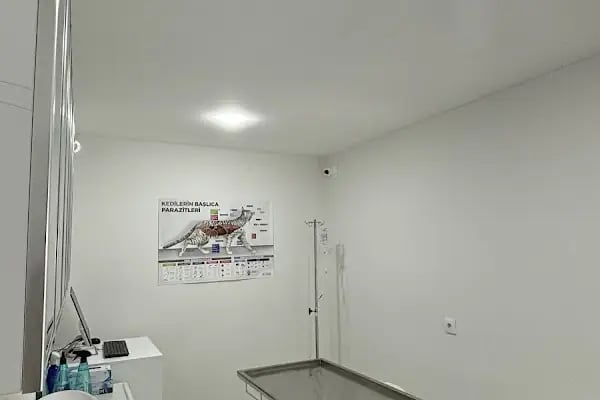 Vet Up Aliağa Veteriner Kliniği - Resim 7
