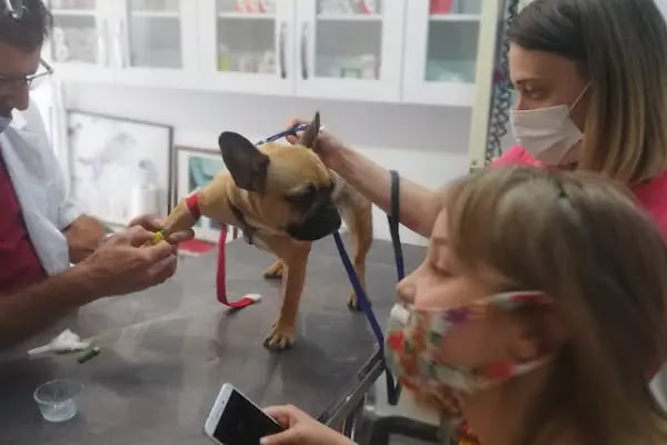 Zoo-Vet Veteriner Kliniği - Resim 14