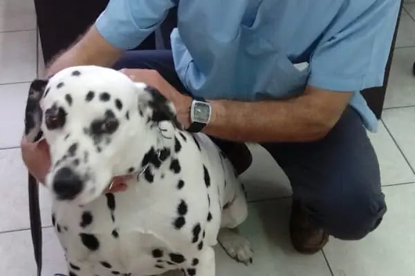 Zoo-Vet Veteriner Kliniği - Resim 4