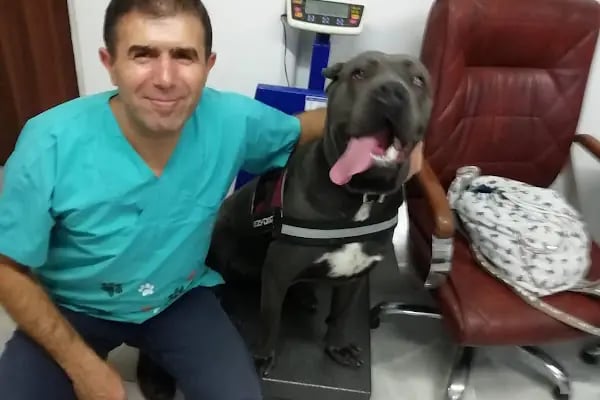 Zoo-Vet Veteriner Kliniği - Resim 8