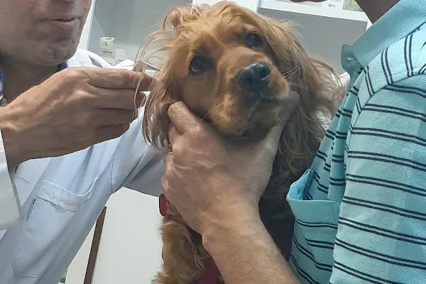 Zoo-Vet Veteriner Kliniği - Resim 11