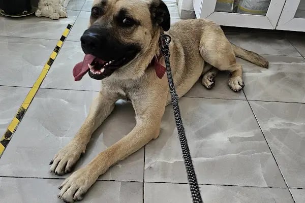Zoo-Vet Veteriner Kliniği - Resim 7