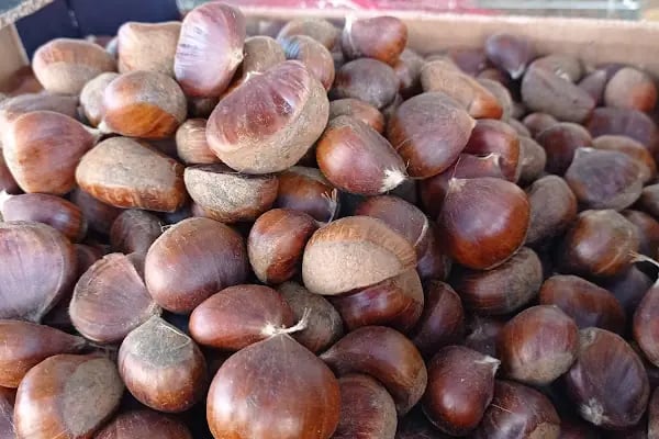 Efe&amp;Ege Kardeşler Market - Resim 11