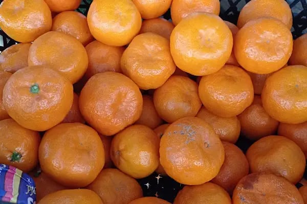 Efe&amp;Ege Kardeşler Market - Resim 5