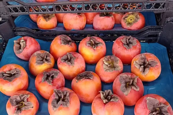 Efe&amp;Ege Kardeşler Market - Resim 17