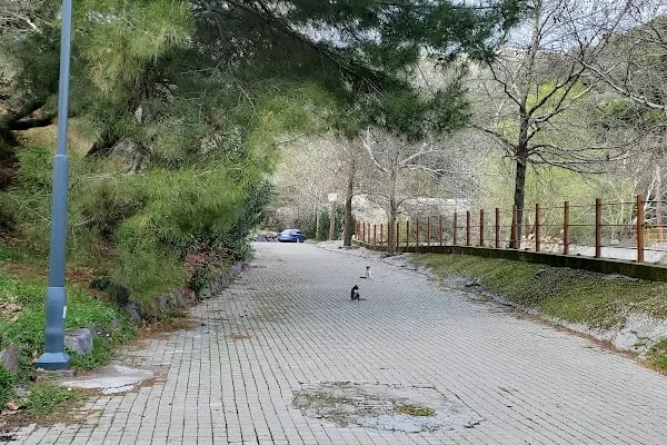 Homeros Adventure Doğa Sporları merkezi - Resim 15