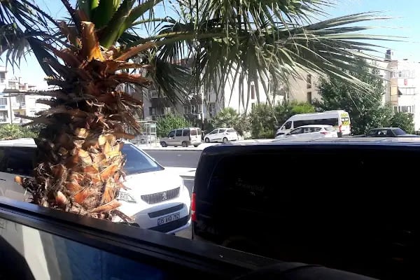 İzmir havalimanı transfer - Resim 20
