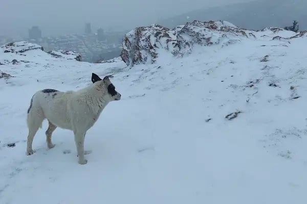 Kayışdağı Küçük Zirve - Resim 9