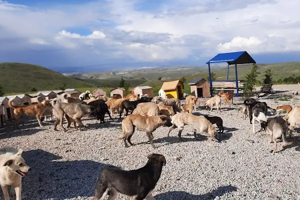 ELMADAĞ KAYAK MERKEZİ - Resim 16