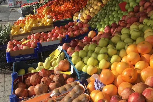 Yayla grupsüpermarketleri BAĞCILAR - Resim 15