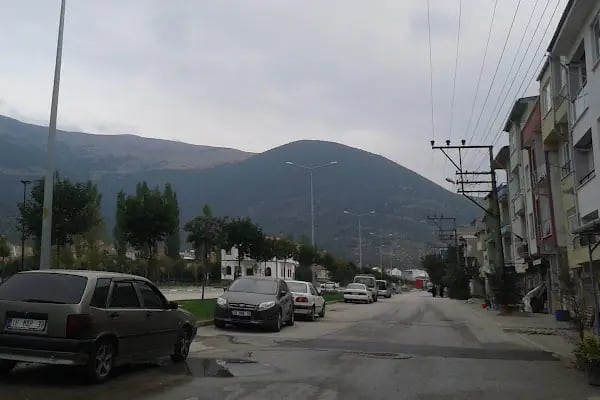 Gemlik Belediyesi - Resim 6