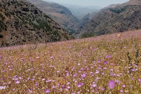 Akyayla - Resim 18