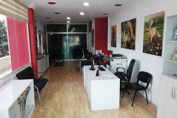 Küre Tanıtım - Reklam - Dijital medya ajansı - Sosyal Medya - Resim 20
